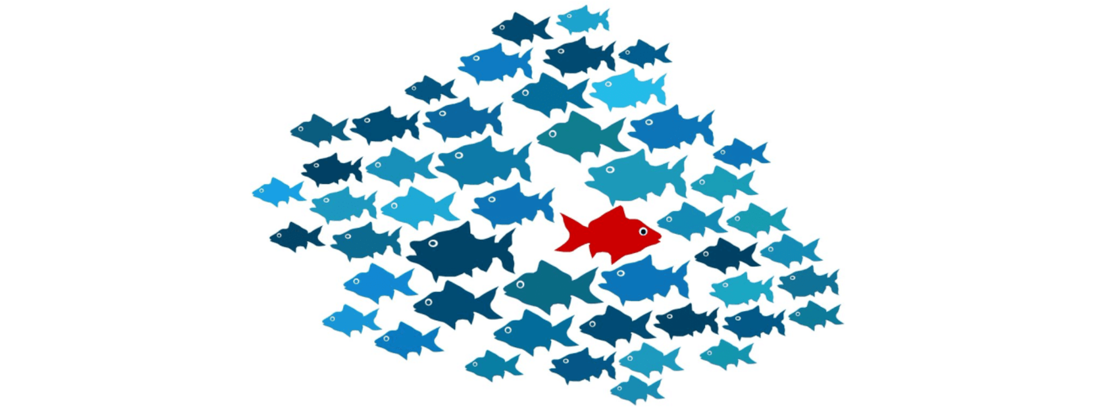 3 Types of Anomalies in Anomaly Detection